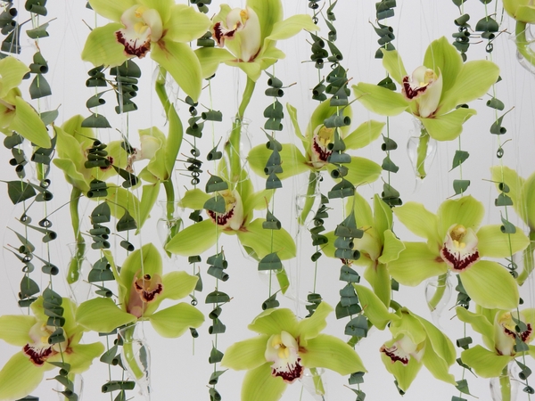Green Cymbidiums and Eucalyptus hanging design with green wire Green Cymbidiums and Eucalyptus hanging design with green wire