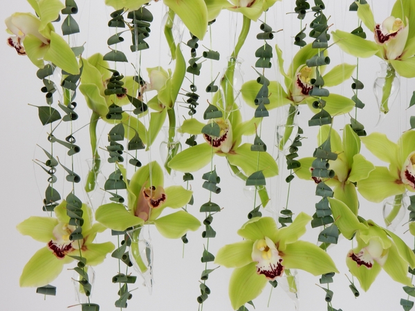 Green Cymbidiums and Eucalyptus Green Cymbidiums and Eucalyptus