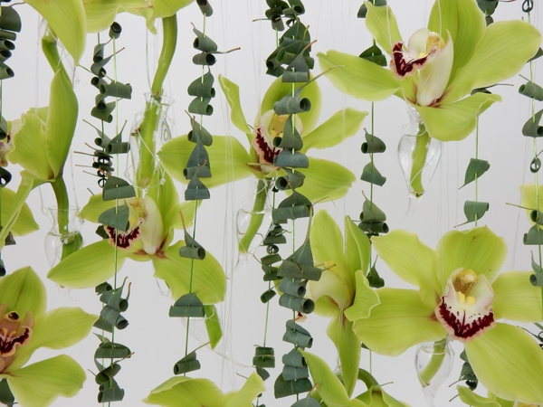 Green Cymbidiums and Eucalyptus suspended design Green Cymbidiums and Eucalyptus suspended design