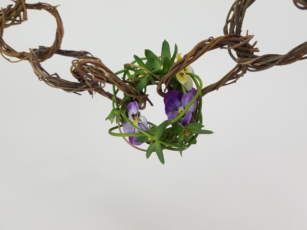 Pansies are Violas Pansies are Violas