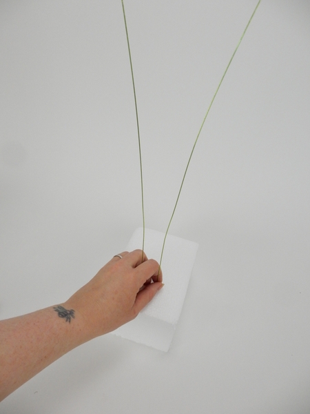 Press wire into styrofoam Press wire into styrofoam