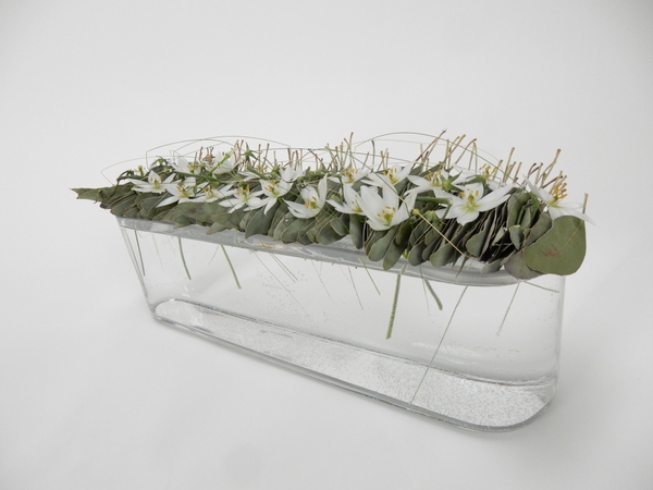 Skewered Eucalyptus armature Skewered Eucalyptus armature