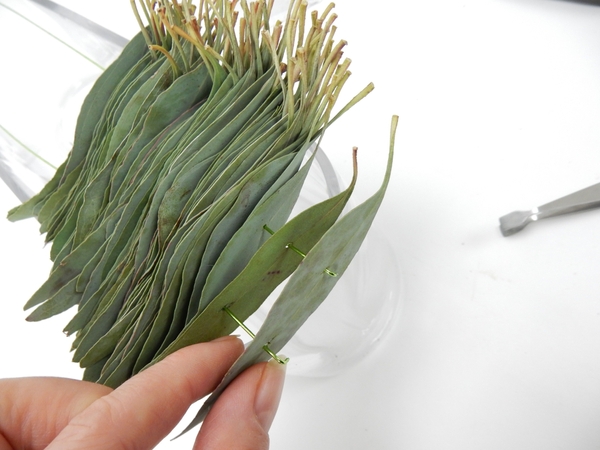 This keeps the Eucalyptus leaves frojm slipping from the wire This keeps the Eucalyptus leaves frojm slipping from the wire