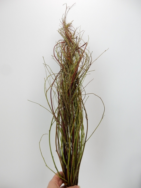 Twig braid ready to design with Twig braid ready to design with