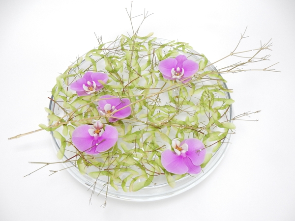 Dream Job floral art design Dream Job floral art design