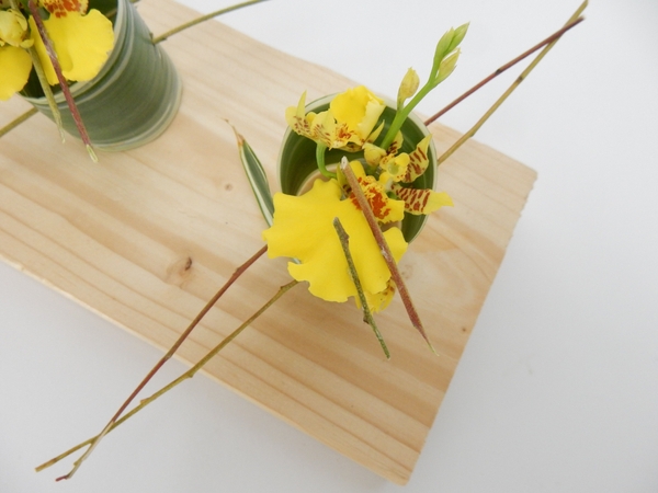 Oncidium orchid flowers and buds Oncidium orchid flowers and buds