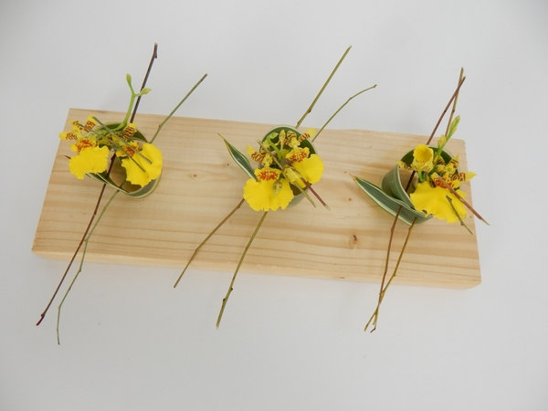 Oncidium orchids Oncidium orchids