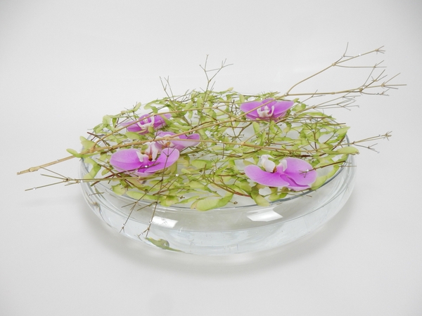 Phalaenopsis orchid, seedpods and crystals in a shallow glass vase