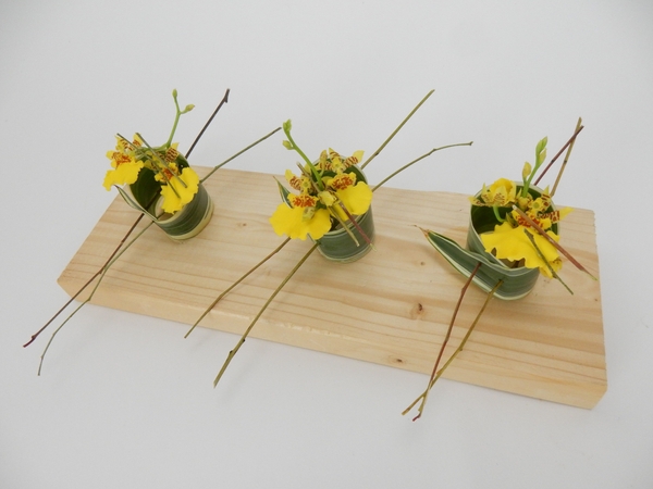 Skewer Dracaena leaves into a roll that supports a tiny water source for the Oncidium orchids Skewer Dracaena leaves into a roll that supports a tiny water source for the Oncidium orchids