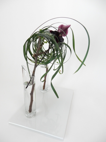 A tangle grass tumble suspended in two vases A tangle grass tumble suspended in two vases