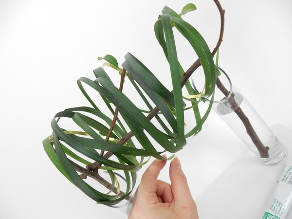 Add a few dangling blades of grass to break up the neat pattern Add a few dangling blades of grass to break up the neat pattern