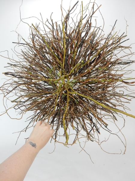 Add sprouting stems of willow in water tubes Add sprouting stems of willow in water tubes