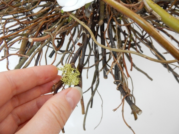 Add tiny bits of moss. Add tiny bits of moss.
