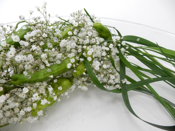 Baby’s breath, Shishito peppers and lily grass. Baby’s breath, Shishito peppers and lily grass.