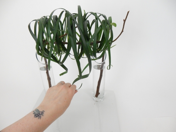 Curl a few blades of lily grass and add it to the tumble Curl a few blades of lily grass and add it to the tumble