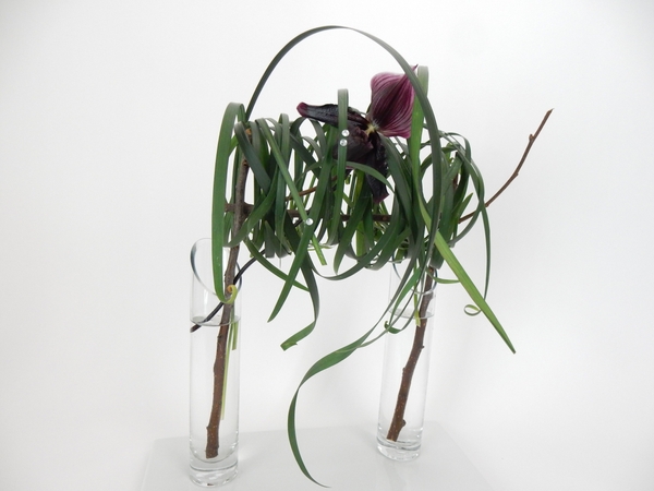 Meraki floral art design. Meraki floral art design.