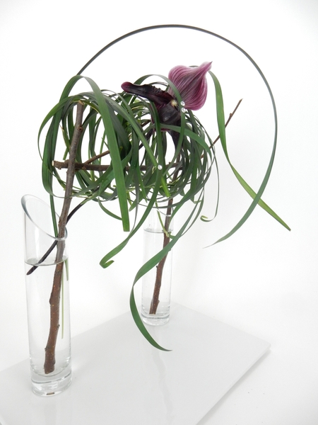 Meraki slipper orchid design Meraki slipper orchid design