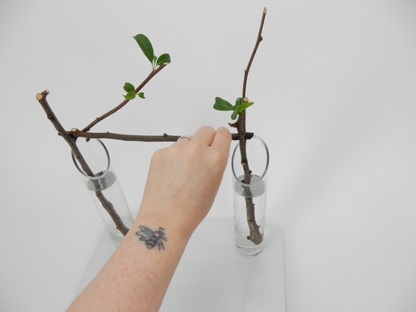 Place a horizontal stem so that it rests in the fork in the branches Place a horizontal stem so that it rests in the fork in the branches