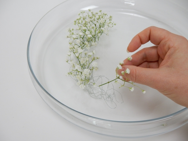 Place the Baby’s breath stems so that it rests in water Place the Baby’s breath stems so that it rests in water
