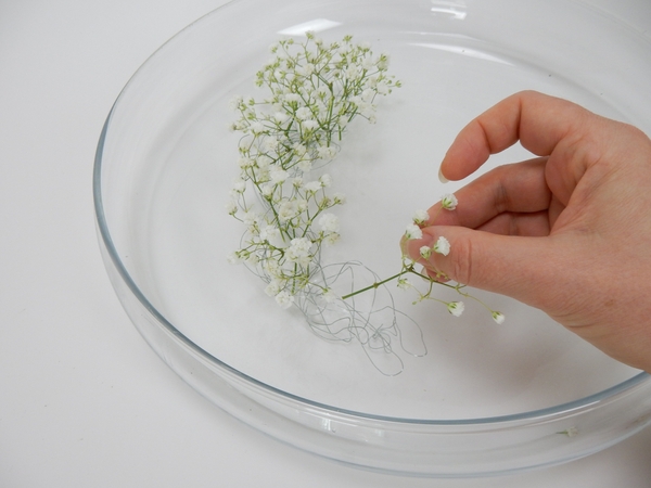 Place the Baby’s breath stems so that it rests in water