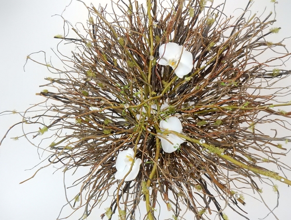 Radiating twigs Radiating twigs