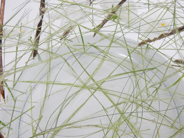 Snip and glue blades of grass to create a net Snip and glue blades of grass to create a net