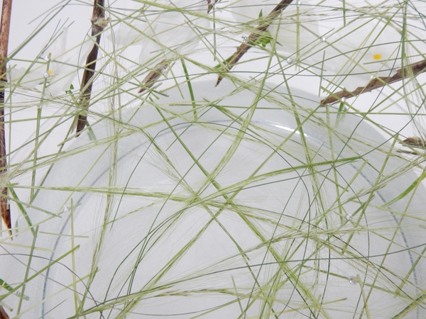 Snip and glue blades of grass to create a net