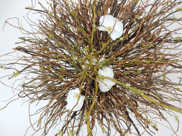 Willow radial Willow radial