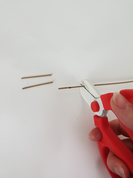 Cut two thin sticks or reeds to just slightly larger than the gap Cut two thin sticks or reeds to just slightly larger than the gap