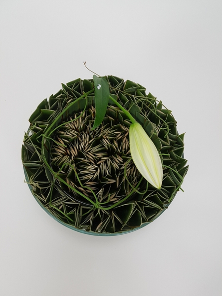 Flax snippets. Flax snippets.