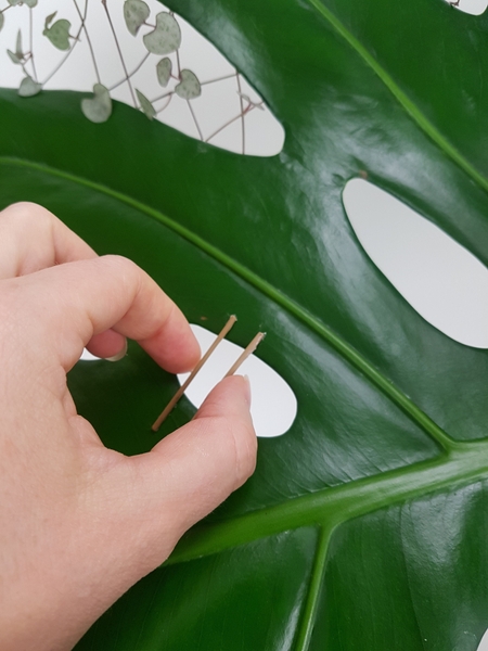 Glue the sticks over the gap Glue the sticks over the gap