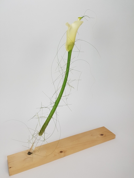 If floral art design If floral art design