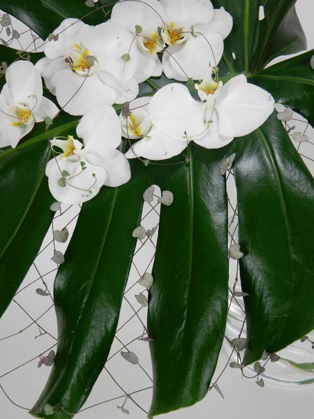 Monstera deliciosa leaf, rosary vine and Phalaenopsis orchids laced up to make the ends meet