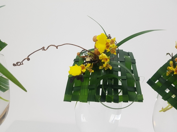 Oncidium orchids Oncidium orchids