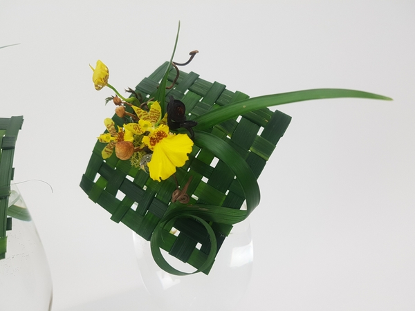 Oncidium orchids on lily grass Oncidium orchids on lily grass