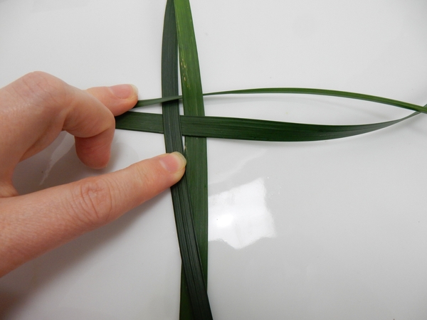Place a few blades of grass on a flat working surface to weave Place a few blades of grass on a flat working surface to weave