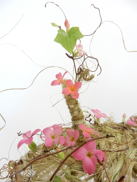 Preserved Ivy and kalanchoe woven pumpkin