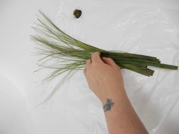 Rip the flax into strips with a Kenzan Rip the flax into strips with a Kenzan