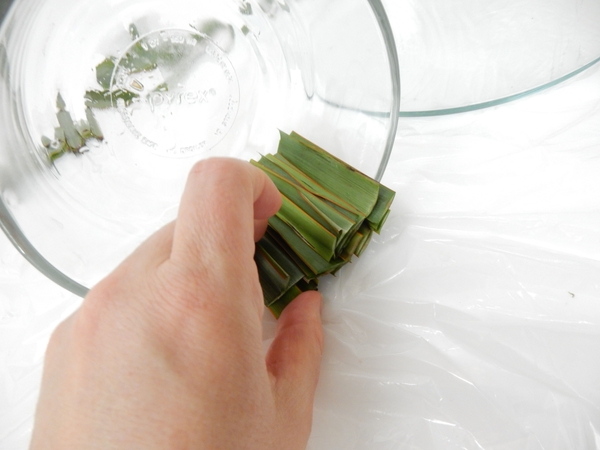 Set the vases on its side and slip in the snippets Set the vases on its side and slip in the snippets