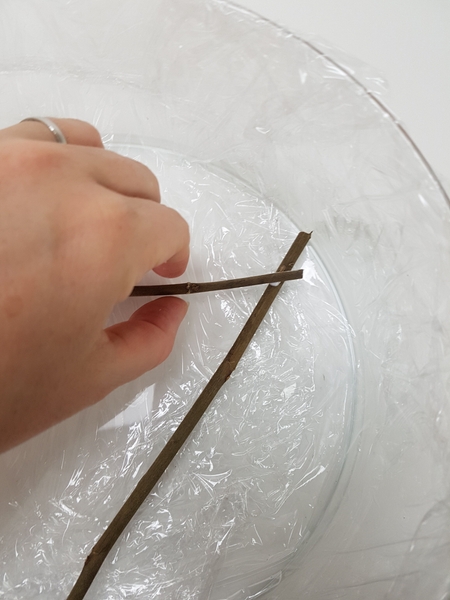 Glue another twig to this twig Glue another twig to this twig