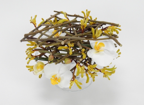 Phalaenopsis orchids and kangeroo paw twig stack floral art design Phalaenopsis orchids and kangeroo paw twig stack floral art design
