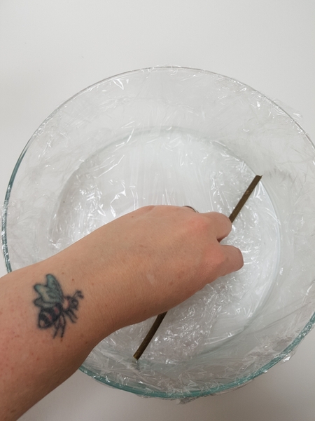 Place a dried rose twig in the bottom of the container Place a dried rose twig in the bottom of the container