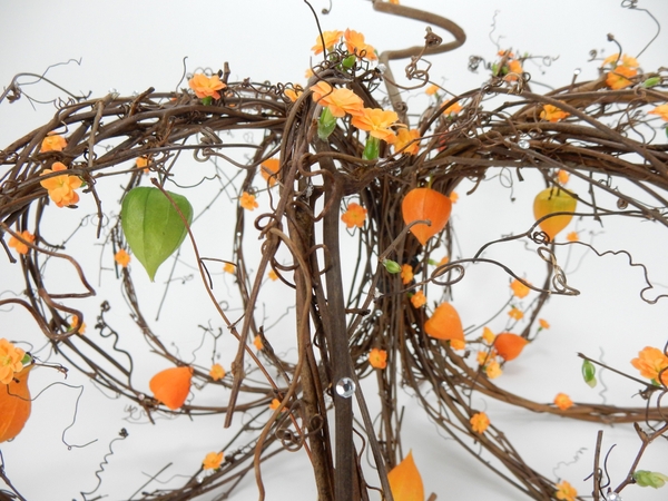 Vine pumpkin Vine pumpkin