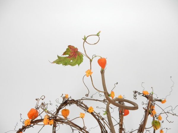 Vine tendrils Vine tendrils