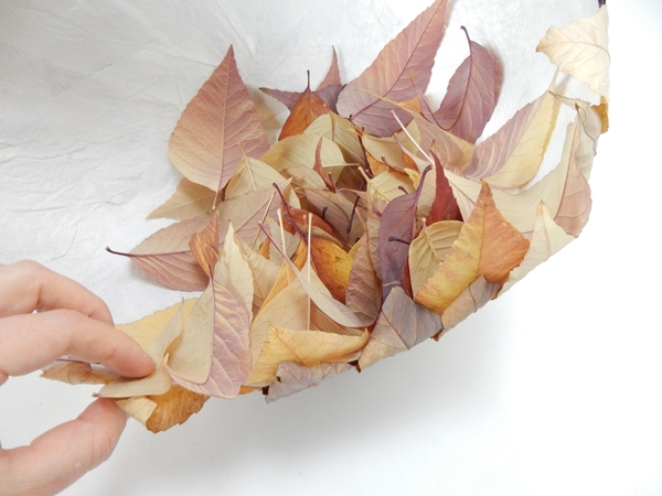 Add leaves at a completely random pattern letting the stem ends extend Add leaves at a completely random pattern letting the stem ends extend