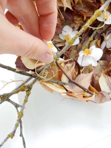 and white roots to bring out the white of the orchids and white roots to bring out the white of the orchids