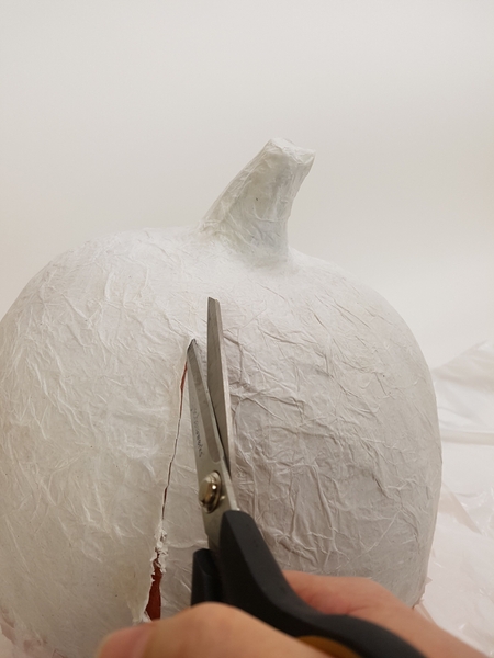 Cut the paper from the pumpkin Cut the paper from the pumpkin