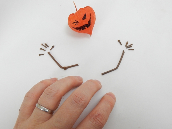 Draw a face of the pod Draw a face of the pod