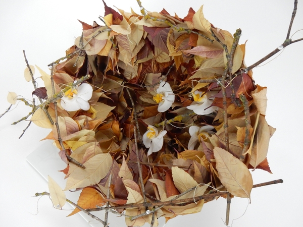 Fall leaf pod Fall leaf pod