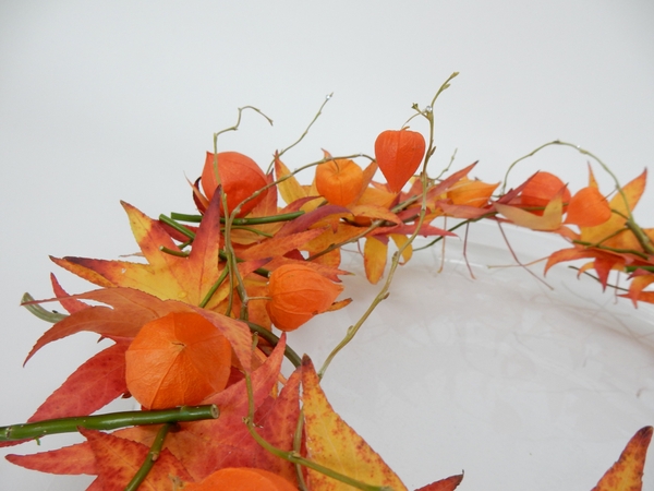 Fall leaves, Chinese lanterns and willow